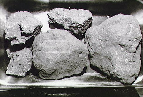 Apollo 11 moon rocks